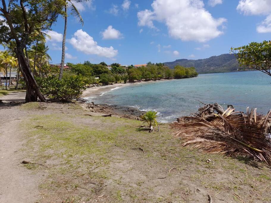 A Deux Pas De La Plage Sainte-Luce Extérieur photo